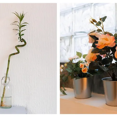 Company Mansion With Cinema & Balcony Old Town Belgrade