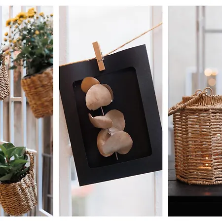 Company Mansion With Cinema & Balcony Old Town * Belgrade