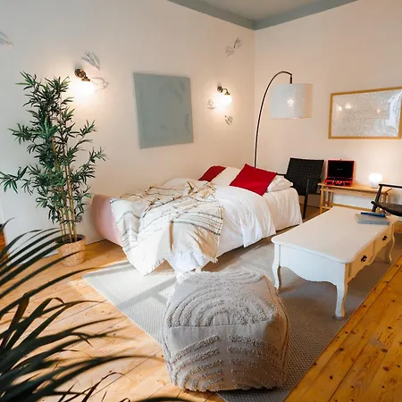 Company Mansion With Cinema & Balcony Old Town Belgrade